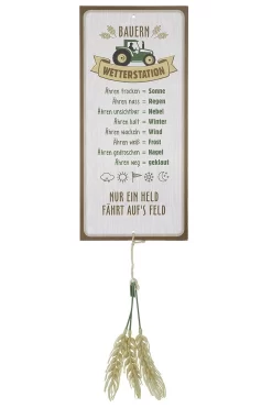 Gilde 46943 Alu Schild Wetterstation "Landluft" 30x14cm Inkl. Ähren