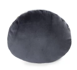 Nici 48820 Kissen Dinosaurier Fossily Wendeplüsch Glow In The Dark 32x26cm GREEN -Kuscheiz Geschäft 48820 03 ZA Frei 2048x1874