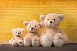 Schaffer 5661 Plüsch Teddy Honey Ca 26cm -Kuscheiz Geschäft 5660honey1 scaled